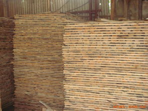 匠心筑夢(mèng)，木韻流芳——走進(jìn)駿起木業(yè)加工廠