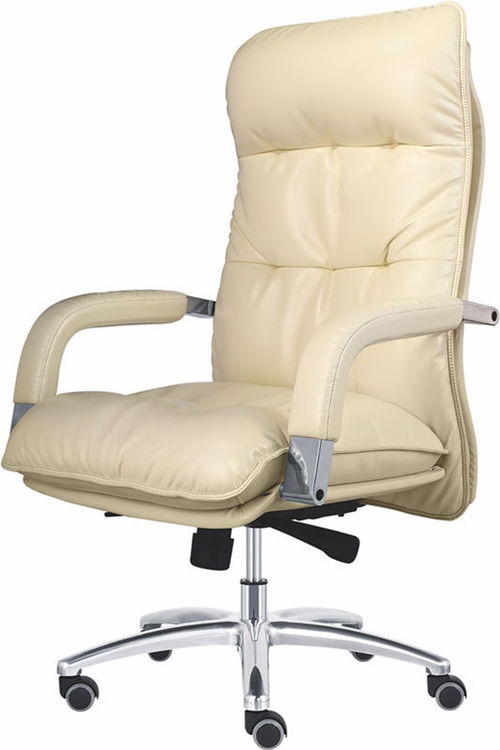 潤(rùn)東家具 專業(yè)經(jīng)理椅銷售與家具解決方案