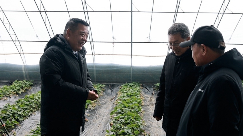冬閑變農忙，服務暖棚間 公主嶺農技人員為現代農業“把脈問診”